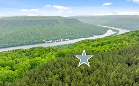 Lot 1251 Mullins Point, Guild, TN 37340