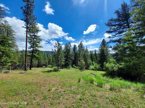Nka E CANTON LN, Harrison, ID 83833