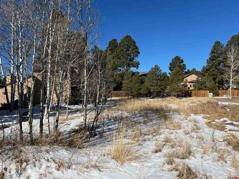 278 Park Avenue, Pagosa Springs, CO 81147