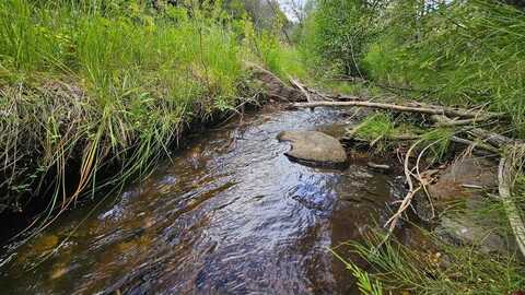 175 Bear Cub Hollow, South Fork, CO 81154