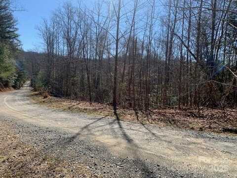 7.6 AC MOL TRACT off Plea PLEASANT GROVE Road unit: 7.6 Ac. Mol, Hendersonville, NC 28739