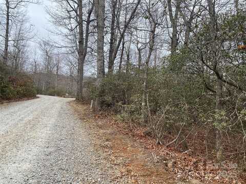 Mountain Cove Road lot: 10, Hendersonville, NC 28711