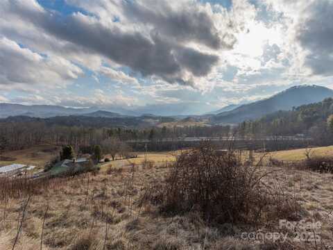 0 Terrell Road, Clyde, NC 28721