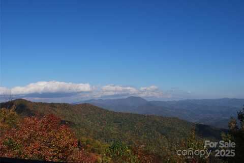 99999 Sigogglin Trail lot: 17, Waynesville, NC 28785