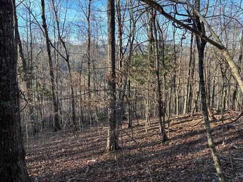 Indian Trail, Franklin, NC 28734