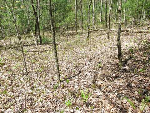 1531 Ledford Branch Rd, Franklin, NC 28734