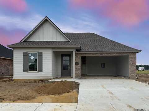 15201 Hazelwood Ct, Prairieville, LA 70769
