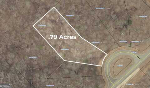 7025 Lake Vista, Dawsonville, GA 30534