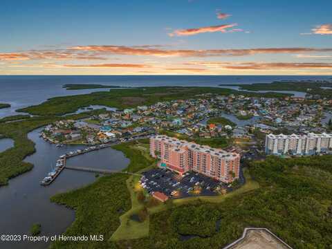 4516 Seagull Drive unit: 614, New Port Richey, FL 34652