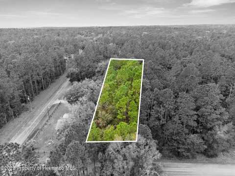 0000 SW 202nd Court, Dunnellon, FL 34431