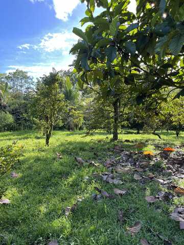 PAHOA KALAPANA RD, PAHOA, HI 96778