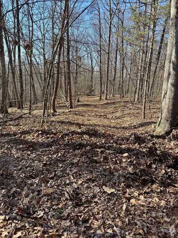 Lot 10 INDEPENDENCE LN, NEW MARKET, VA 22844