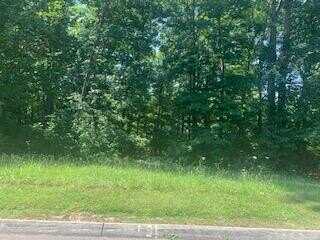 6276 Outlook Trail, Russellville, TN 37860