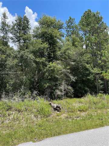 Tbd SW 59th LN, Other City - In The State Of Florida, FL 34431