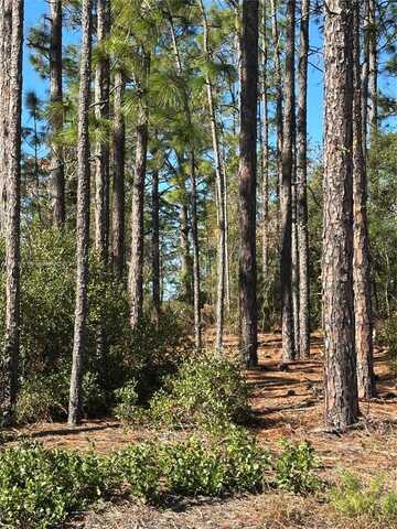 00 SW 209th AVE, Other City - In The State Of Florida, FL 34431