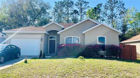 419 CIERRA OAKS CIRCLE, LADY LAKE, FL 32159