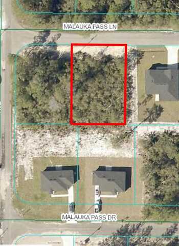 00 MALAUKA PASS LANE, OCKLAWAHA, FL 32179