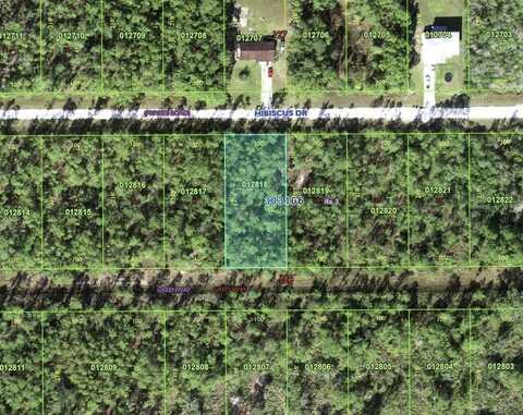 713 HIBISCUS DRIVE, INDIAN LAKE ESTATES, FL 33855