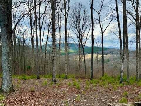 0 Winding Ridge Rd, BLAIRSVILLE, GA 30512