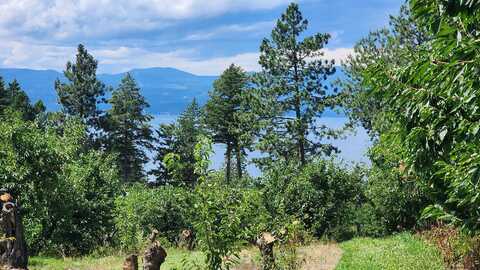 nhn Sylvan Drive, Bigfork, MT 59911