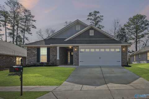 316 Poppy Trail, Meridianville, AL 35759