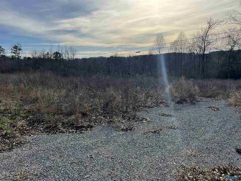 24 Acres County Road 1825, Arab, AL 35016