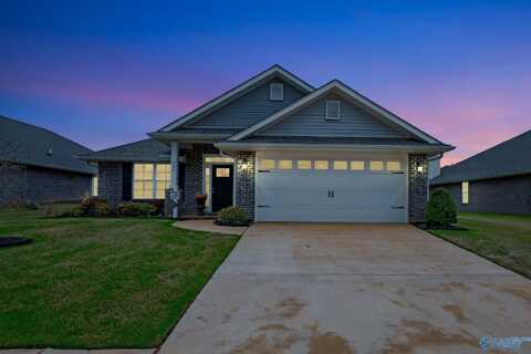 222 Poppy Trail, Meridianville, AL 35759