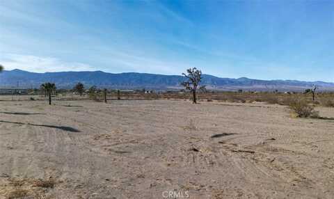 48788 Silver Valley Road, Newberry Springs, CA 92365