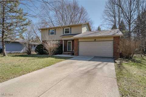 9013 Birchwood Drive, Twinsburg, OH 44087