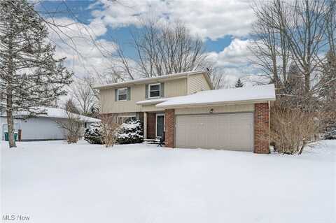 9013 Birchwood Drive, Twinsburg, OH 44087