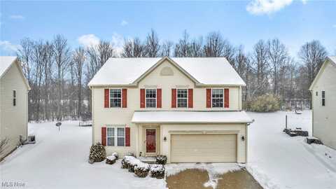 7767 Creekside Parkway, Macedonia, OH 44056