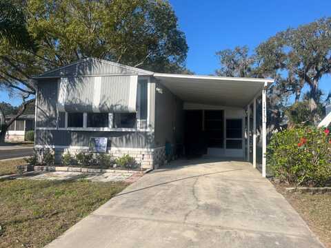 14731 Catrina loop, Hudson, FL 34667