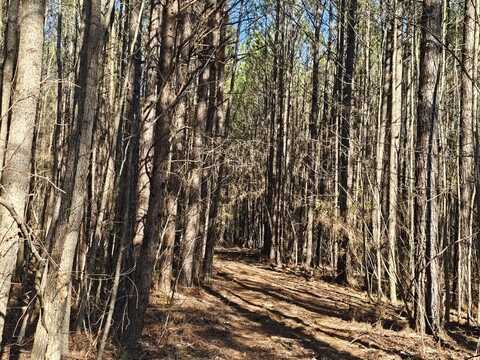 0 SR 13 N, Eldridge, AL 35554