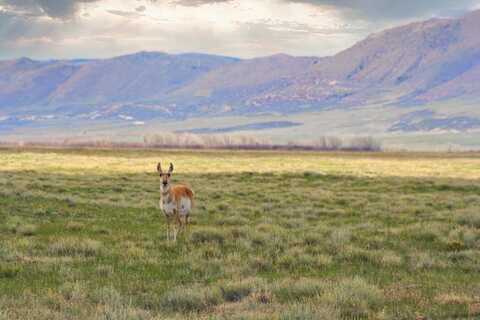 Lot 198 Wild Horse Ranch, Laramie, WY 82070