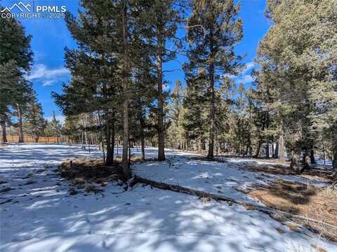 924 Will Scarlet Drive, Divide, CO 80814