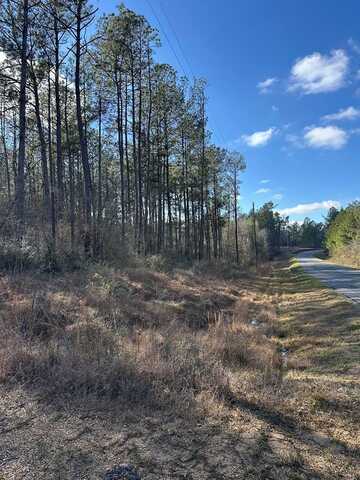 0 Emile Davis Rd, Poplarville, MS 39470