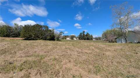 1221 W BUTTONBUSH Drive, Beverly Hills, FL 34465