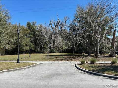 116 Dr Martin Luther King Jr Avenue, Inverness, FL 34450