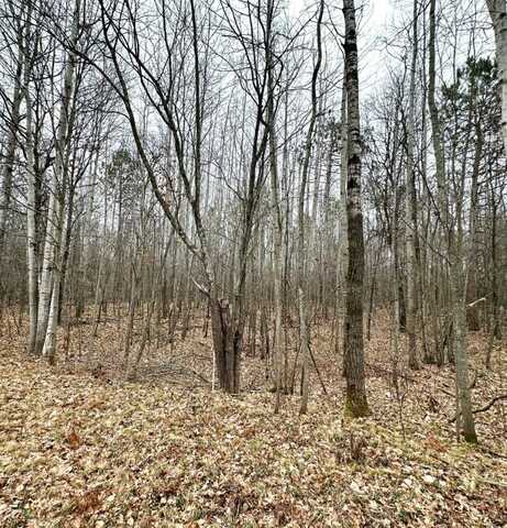 Lot 1,1.65+/- Acres 295th Avenue, Holcombe, WI 54745