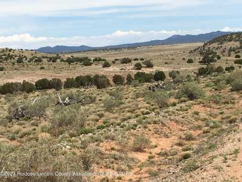 LT. 69 FENCELINE Road, Ancho, NM 88301