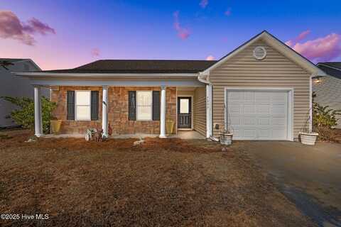 7207 Chipley Drive, Wilmington, NC 28411