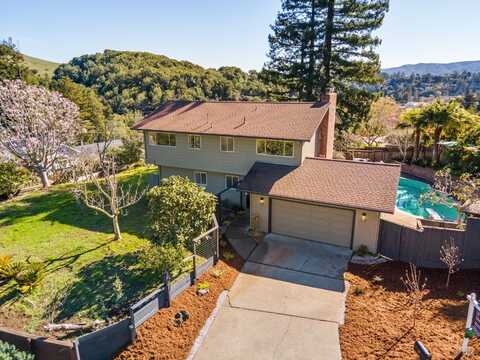 20 Stanton Way, Mill Valley, CA 94941