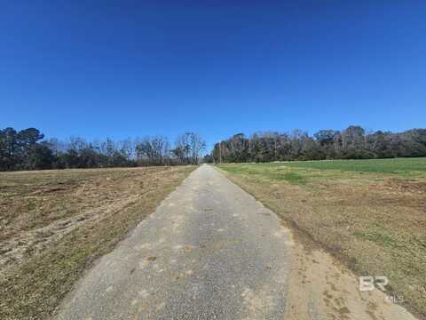 0 BLACK GRIFFIN Road, Loxley, AL 36551