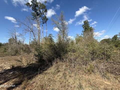 Tanager Court, Marianna, FL 32448