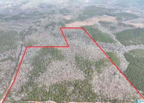 156+/- Acres COUNTY ROAD 313, WEDOWEE, AL 36278