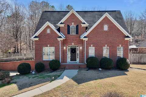 109 OAKLYN HILLS DRIVE, CHELSEA, AL 35043