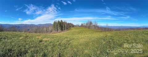 1201 & 1540 Baker Branch Lane, Marshall, NC 28753