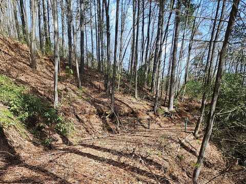 Brushy Fork Road, Sylva, NC 28779