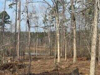 Lot 28 FOLLY RUN Drive, Lincolnton, GA 30817