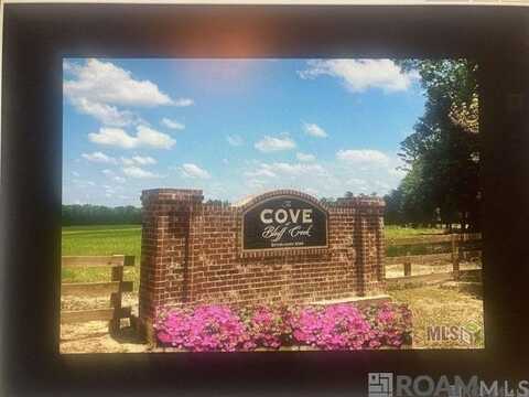 Lot 12 Lower C C Rd, Clinton, LA 70722